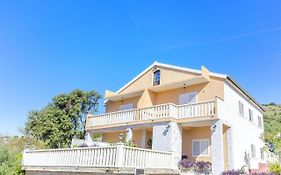 Apartments Pera